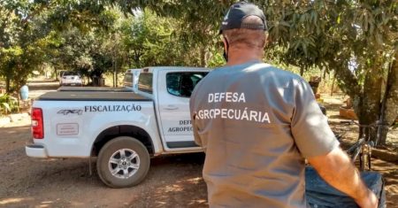 Governo do Brasil autoriza a nomeação de mais de 100 servidores para o fortalecimento da defesa agropecuária