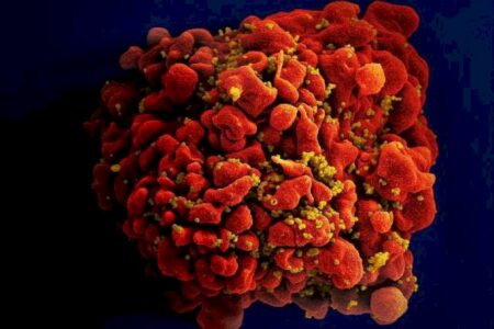 Nova vacina experimental contra o HIV mira partes do vírus que não mudam