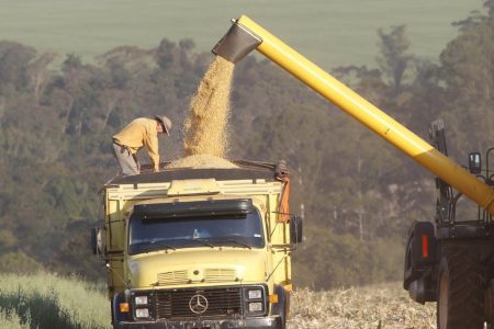 Veto ao Projeto dos Safristas mantém impasse sobre contratação de temporários no campo
