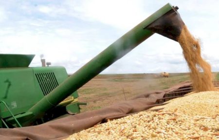 Agronegócio responde por 45,7% das exportações brasileiras e cresce 14% em junho