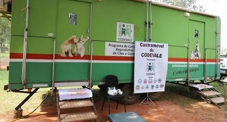 Legislativo articula parceria para ampliar castração gratuita de cães e gatos em Nova Andradina e Nova Casa Verde
