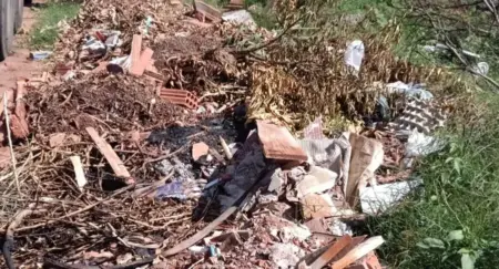 Mesmo após denúncia, descarte irregular de lixo e animais mortos continua em rua de Nova Andradina