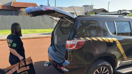 PF apreende armas em operação contra fraude em registro de CAC em Dourados.