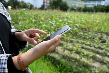 Inteligência de dados muda a estratégia de venda de insumos agrícolas