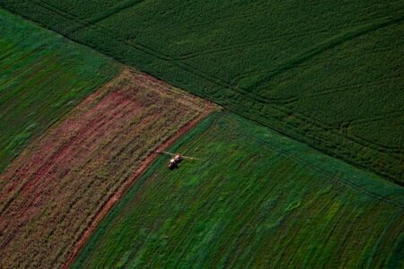 Produção de fertilizantes de matriz orgânica amplia alternativas para o agro brasileiro