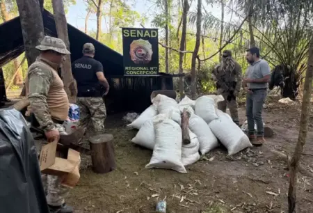 Em 3 dias, operação destrói 160 toneladas de maconha na fronteira