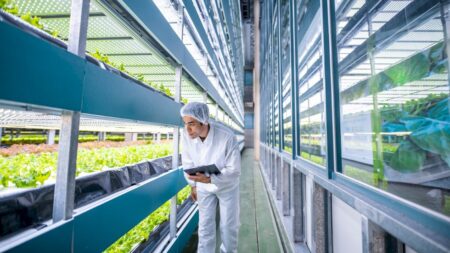 Saladas não matam | Coluna da Lucilia