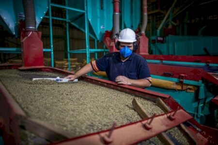 Agro vai além do campo e movimenta 22,5 mil empregos em Campo Grande