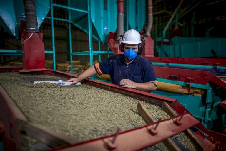 Agro vai além do campo e movimenta 22,5 mil empregos em Campo Grande