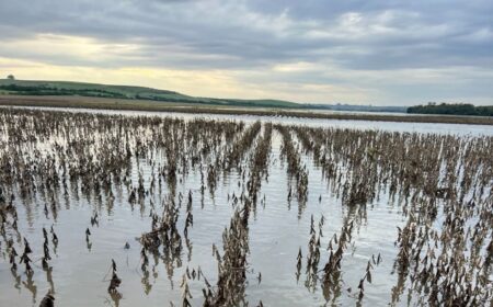 Entidades do agro cobram celeridade na operacionalização da MP das dívidas rurais