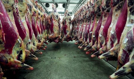 União Europeia suspende importações de carne bovina do Brasil a partir desta quinta-feira