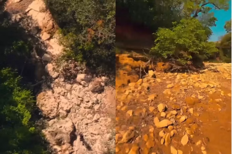Rio da Prata seca e 200 peixes ilhados em poças são resgatados em MS