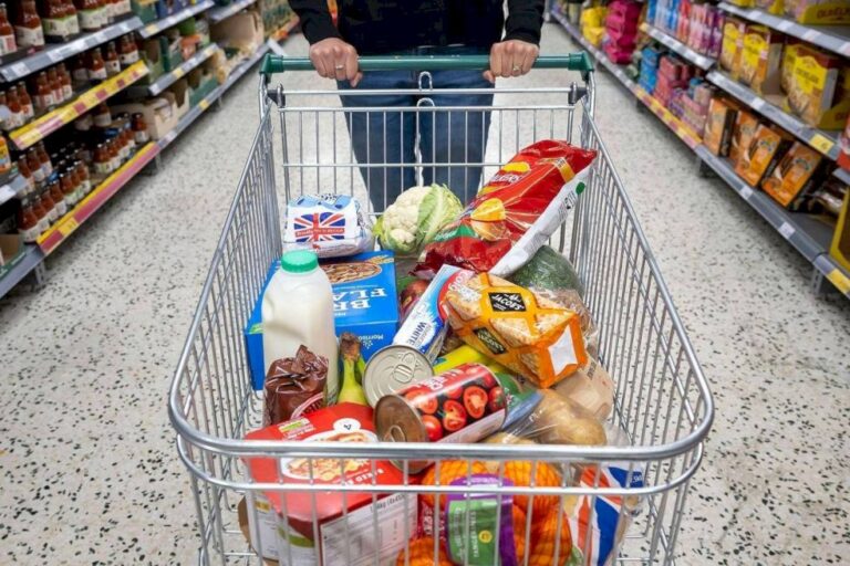 É possível comer ultraprocessados e se manter saudável? O que nutricionista diz sobre meu carrinho de compras