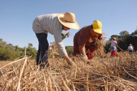 Agricultura familiar terá R$ 40,2 milhões de crédito extraordinário do governo federal