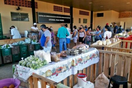 A força da agricultura familiar em Batayporã: tradição, produção e desenvolvimento no campo e na cidade