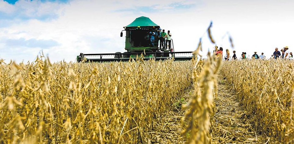 A força do agronegócio no desenvolvimento de Batayporã