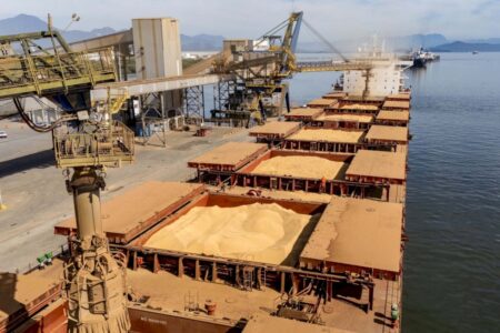Soja chega a R$ 159,76 em Paranaguá e acumula alta de 10,25% no mês