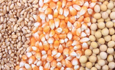 Soja cresce, milho perde produção global e trigo eleva estoques na safra 2026/27