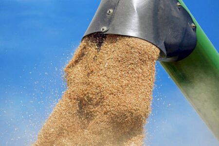 Brasil pode precisar importar até 9 milhões de toneladas de trigo