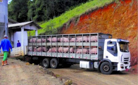 Produtores podem emitir documentos para transporte de animais com apoio de inteligência artificial