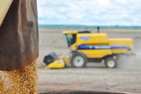 Mercados agrícolas iniciam semana sob pressão