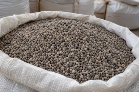 Enquanto Brasil discute risco de desabastecimento de fertilizantes, projeto gaúcho enfrenta barreiras para produzir fosfato