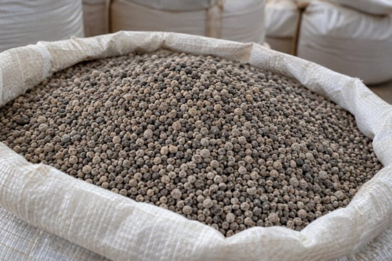 Enquanto Brasil discute risco de desabastecimento de fertilizantes, projeto gaúcho enfrenta barreiras para produzir fosfato