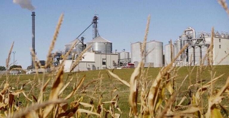 Fim da escala 6×1:Empresas do agro que mais devem sentir impacto da mudança