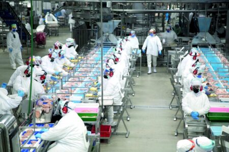 Agroindústria brasileira precisa de estratégia de Estado para ampliar competitividade