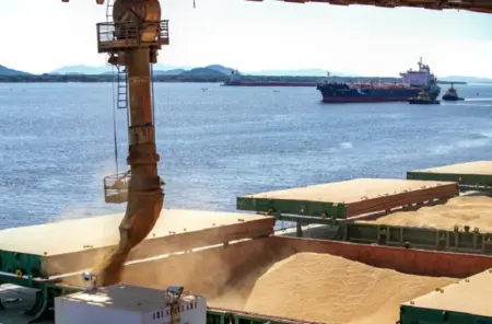 Exportações de MS crescem 12,5% e chegam a US$ 9,21 bilhões em 2026.