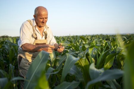 Novo marco do seguro rural protege subvenção e cria incentivos ligados ao crédito
