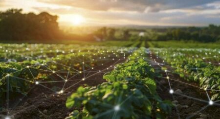 Bioestimulantes podem elevar produtividade da soja