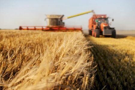 Importações brasileiras de trigo devem atingir o recorde de 9 milhões de toneladas