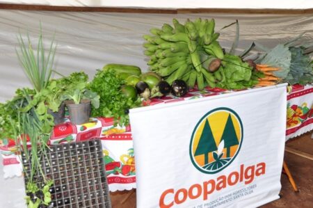Da produção à mesa: Coopaolga fortalece a agricultura familiar e amplia oportunidades em Nova Andradina