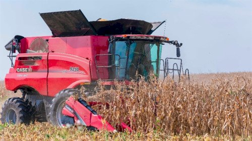 Brasil lidera margens de soja e milho frente a EUA e Argentina