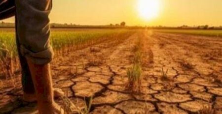 Nova lei do seguro rural amplia proteção para produtores no campo
