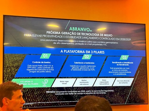 Milho safrinha ganha nova biotecnologia contra lagartas na safra 28/29