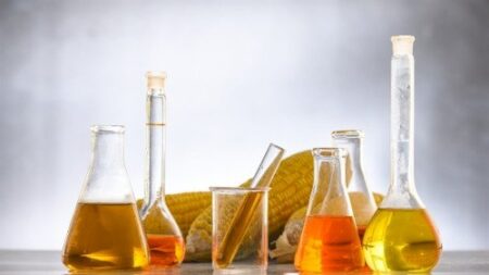 Usinas de etanol transformam milho e sorgo em commodities de energia