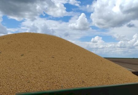 Com novas regras tributárias, produtor de soja pode receber menos pela produção