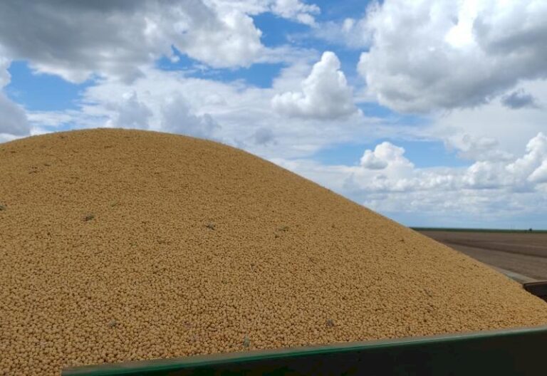 Com novas regras tributárias, produtor de soja pode receber menos pela produção