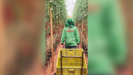 O agro no vermelho: setor mais pujante da economia se vê ameaçado por crise de crédito